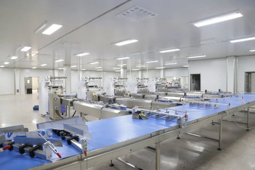 县长闫龙虎现场调度重点项目 三网二期工程建设工作